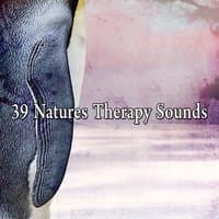 39 Natures Therapy Sounds