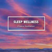 13 Sleep Wellness Chakra Meditation Sounds