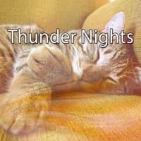 Thunder Nights