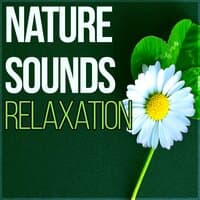 Nature Sounds Relaxation - Good Time with New Age, Background Music and Relaxation Sounds, My Time, Music for Good Day