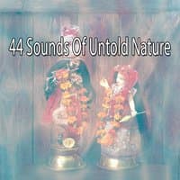 44 Sounds Of Untold Nature