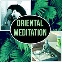 Oriental Meditation - Basic Transcendental Meditation for Beginners with Nature Sounds, Ocean Sounds