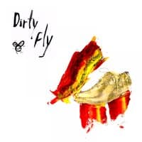 Dirty Fly