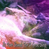 80 Pure Sounds For A Great Sleep