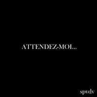 Attendez-moi