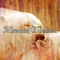 32 Dreaming of the Storm