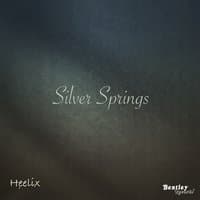 Silver Springs