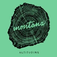 Altitudine