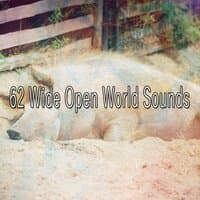 62 Wide Open World Sounds