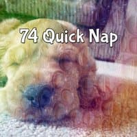 74 Quick Nap