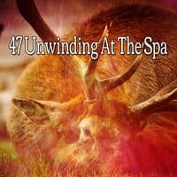 47 Unwinding at the Spa