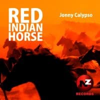 Red Indian Horse