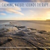 Calming Nature Sounds Therapy – Relaxation, Rain Sounds, Music Therapy