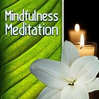 Mindfulness Meditation – Gentle Music for Chakra Balancing, Massage, Reiki Therapy, Total Relax, Tranquility Spa Music