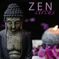 Zen Circus - Spiritual Zen Meditation Music for Buddha Meditation Practices