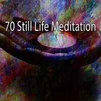 70 Still Life Meditation