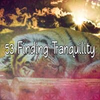 53 Finding Tranquility