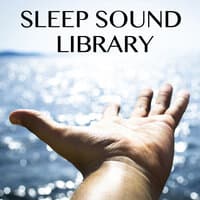 Sleep Sound Library