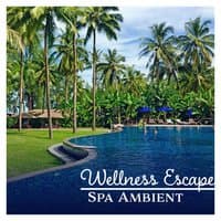 Wellness Escape – Spa Ambient: Serenity Night & Day, Body Revive, Without Noise, Mind Therapy, Natures Background Sounds