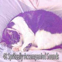 48 Spritually Accompanied Sounds