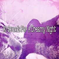 40 Sounds For A Dreamy Night