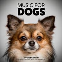 Music for Dogs: Relax and Chill Piano Music for Dogs & Pets