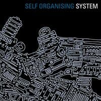 Self Organising System