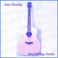 Steel String Stories