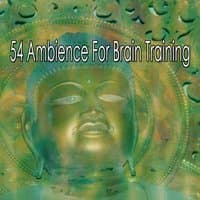 54 Ambience For Brain Training