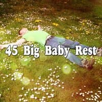 45 Big Baby Rest