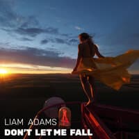 Don't Let Me Fall