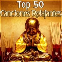 Top 50 Canciones Relajantes: Musica para Sanar el Alma, Yoga Meditación, Reiki Relajación, Dormir Descansar, Zen Serenidad