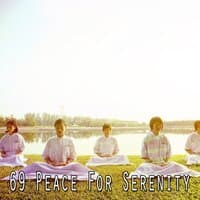 69 Peace for Serenity