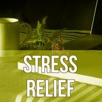 Stress Relief - Background Music for Increase, Concentration Music for Reading, Relaxing Piano Music for Logical Thought, Calm Music, Mood Music