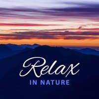 Relax in Nature – Singing Birds for Relaxation, Birds Sounds, Rest on Meadow