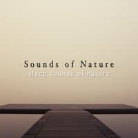 Sleep Sounds of Nature