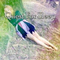 Quest For Sleep