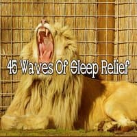 45 Waves of Sleep Relief