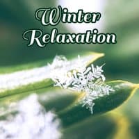 Winter Relaxation: Top Music Ambient, Spa, Stress Reduction, Depression Relief, Meditation, Serenity Atmosphere