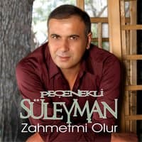 Zahmet Mi Olur