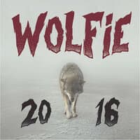 Wolfie 2016