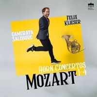 Concerto No. 1 in D Major, K. 412/518: I. Allegro