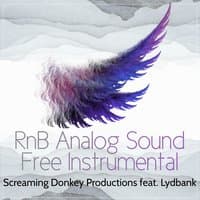 RnB Analog Sound Free Instrumental