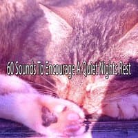 60 Sounds To Encourage A Quiet Nights Rest