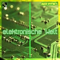 Elektronische Welt