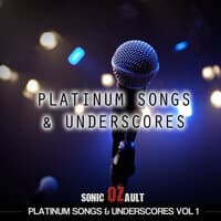 Platinum Songs & Underscores, Vol. 2