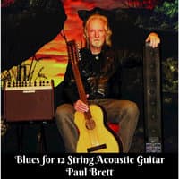 Blues for 12 String Acoustic Guitar