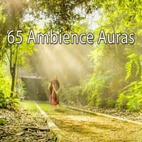 65 Ambience Auras