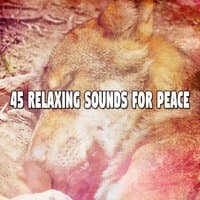 45 Relaxing Sounds For Peace