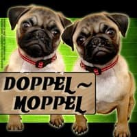 Doppel Moppel